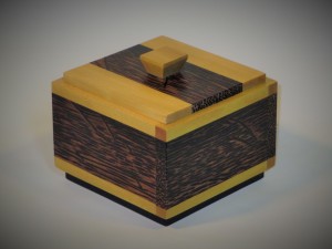 Palm and Yellow Box